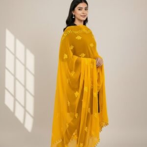Embroidered Chiffon